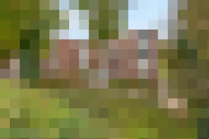Havenweg 4 Buchten thumbnail 5