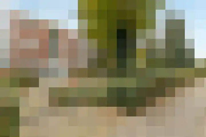 Havenweg 4 Buchten thumbnail 7