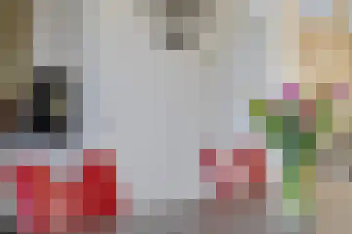 Havenweg 41 Nieuwdorp thumbnail 11