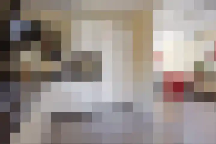 Havenweg 41 Nieuwdorp thumbnail 14
