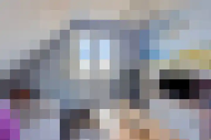 Havenweg 41 Nieuwdorp thumbnail 29