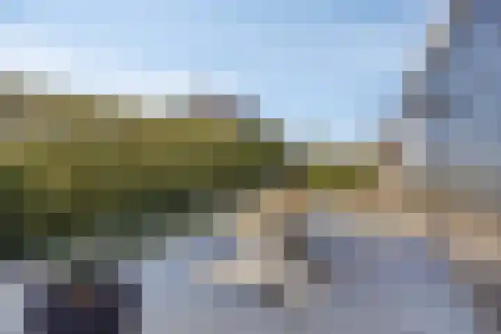 Havenweg 41 Nieuwdorp thumbnail 30