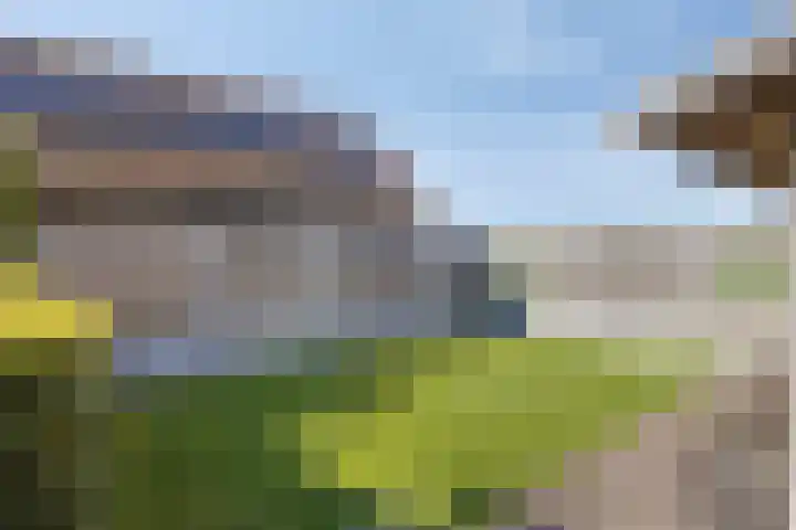 Havenweg 41 Nieuwdorp thumbnail 33