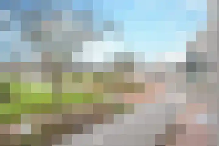 Havenweg 46 Helmond thumbnail 22