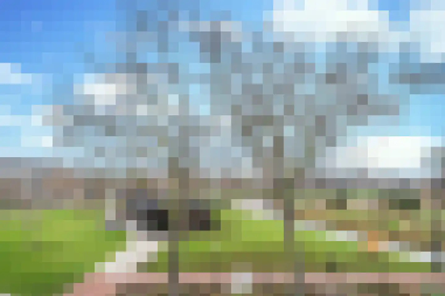 Havenweg 46 Helmond thumbnail 24