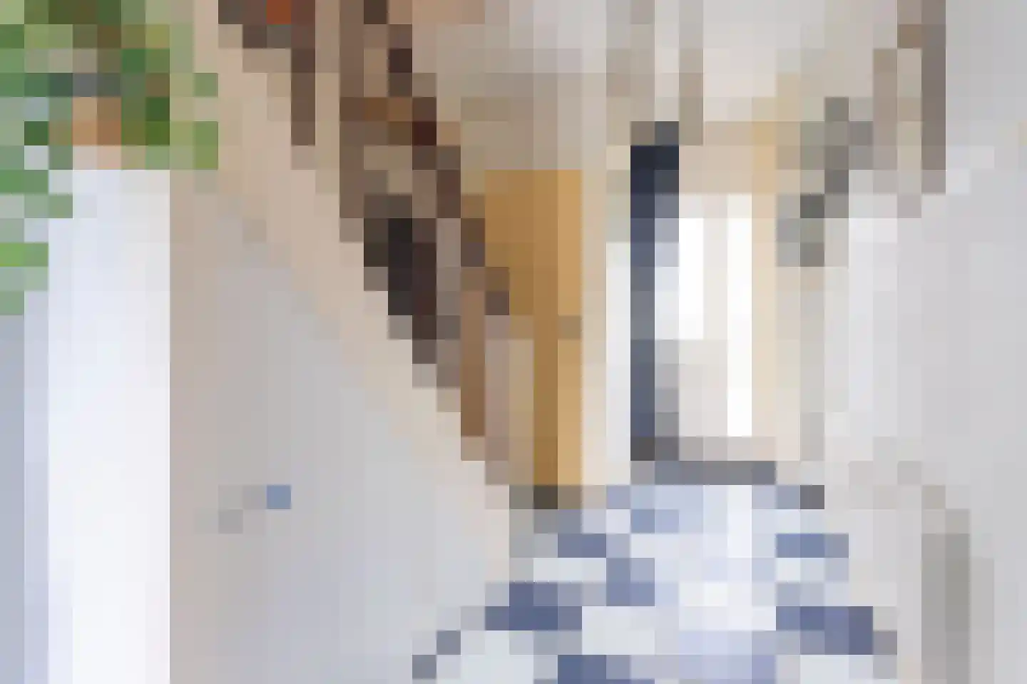 Havenweg 48 Schellinkhout thumbnail 10