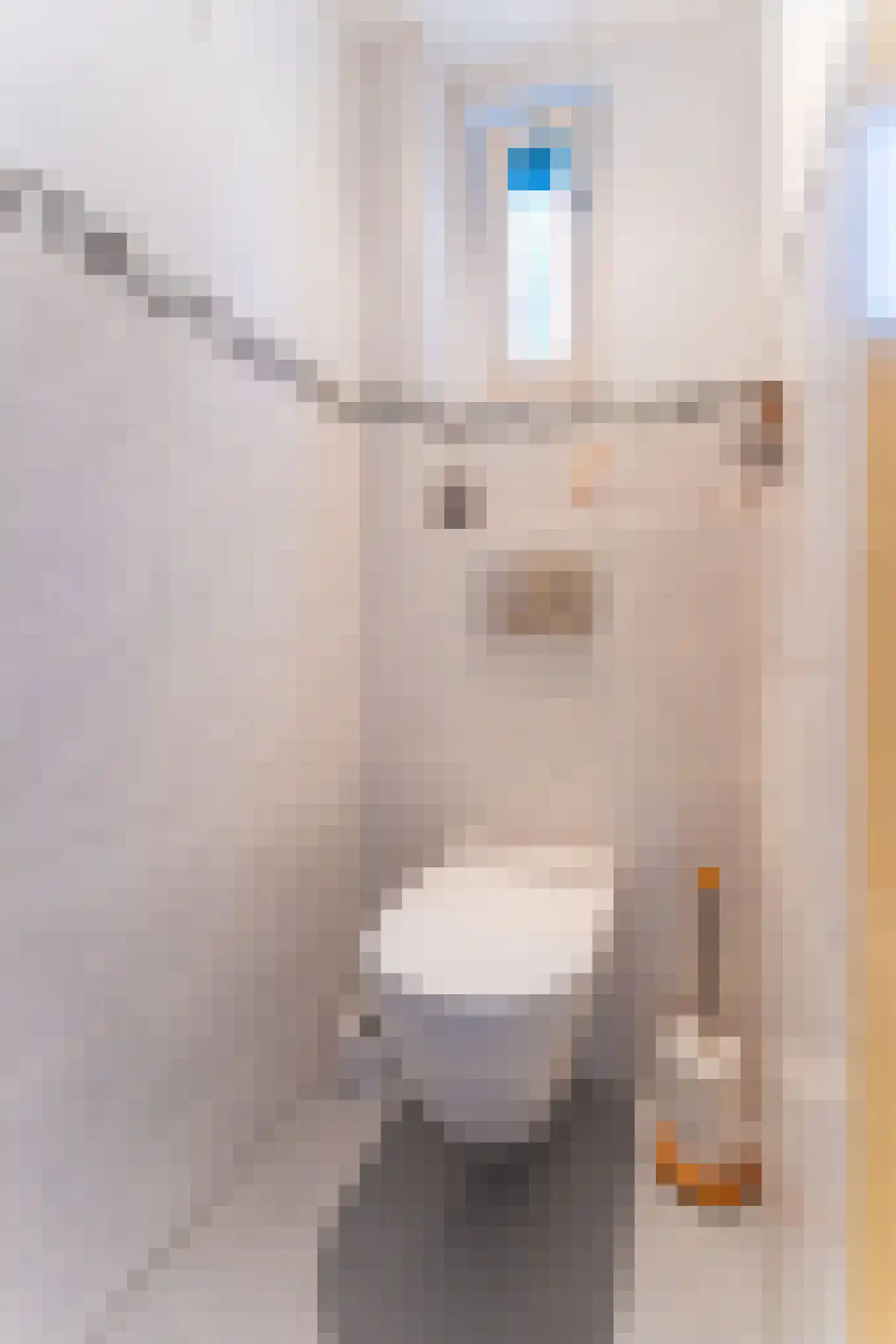 Havenweg 48 Schellinkhout thumbnail 12