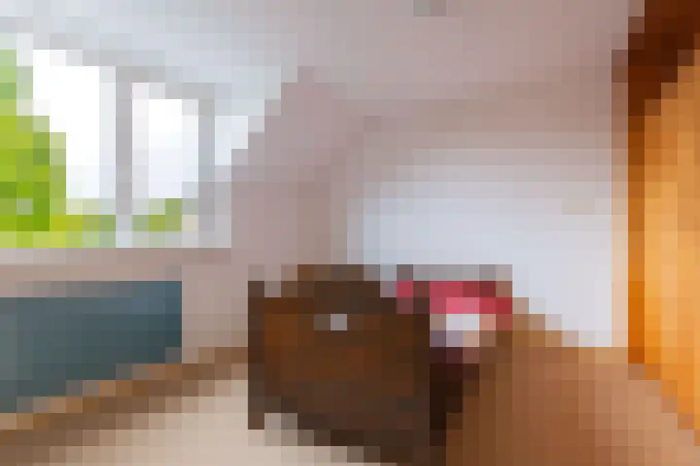 Havenweg 48 Schellinkhout thumbnail 34