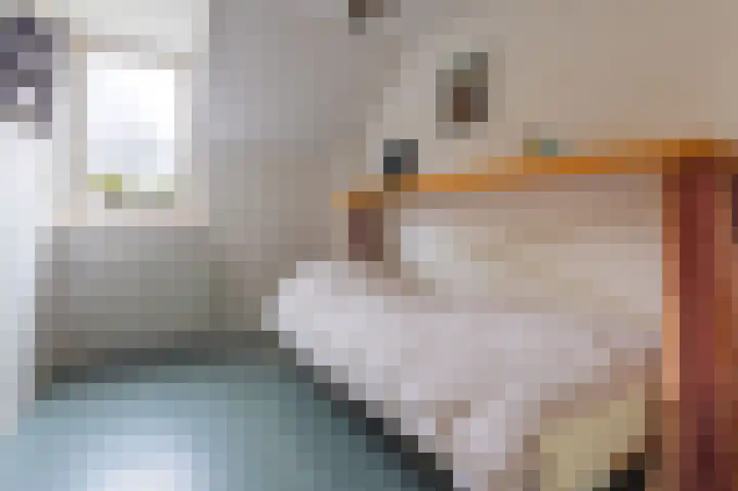 Havenweg 48 Schellinkhout thumbnail 36