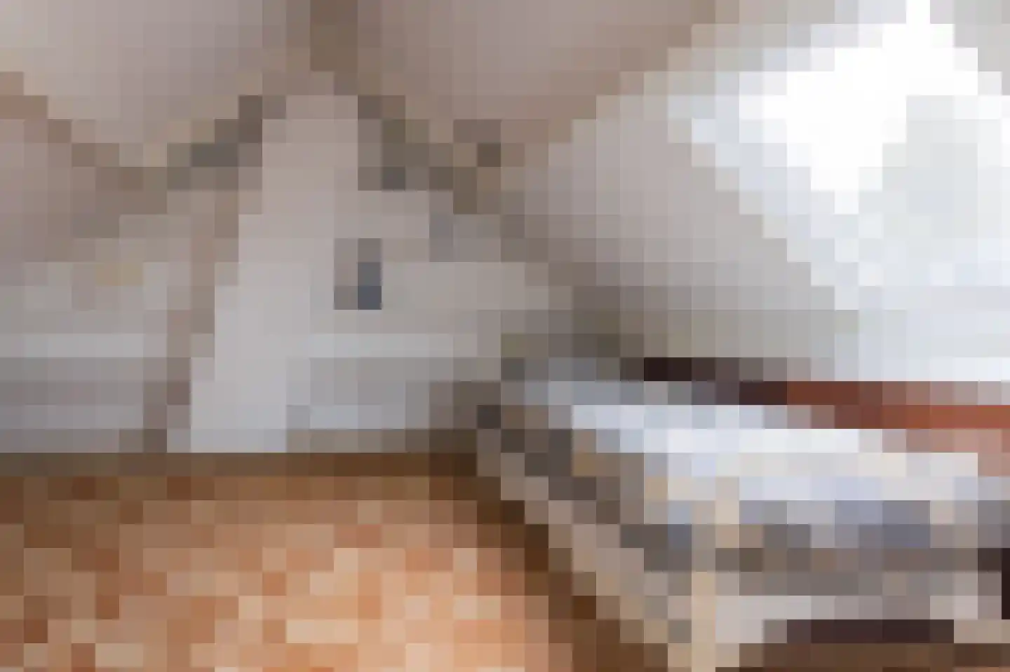 Havenweg 48 Schellinkhout thumbnail 40