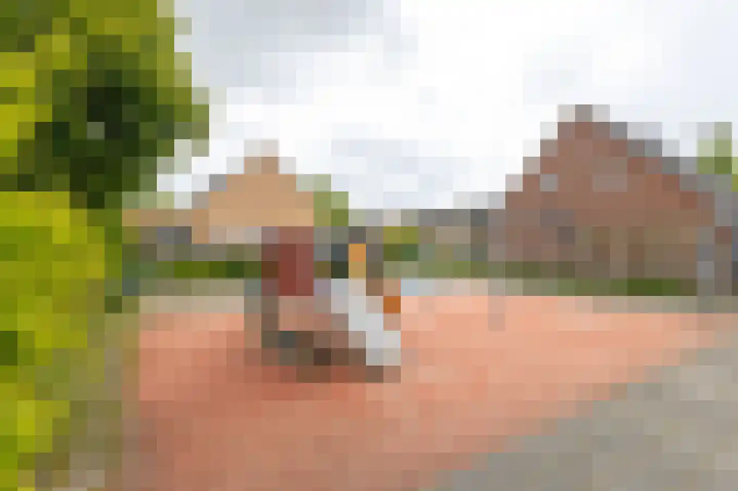 Havenweg 48 Schellinkhout thumbnail 56