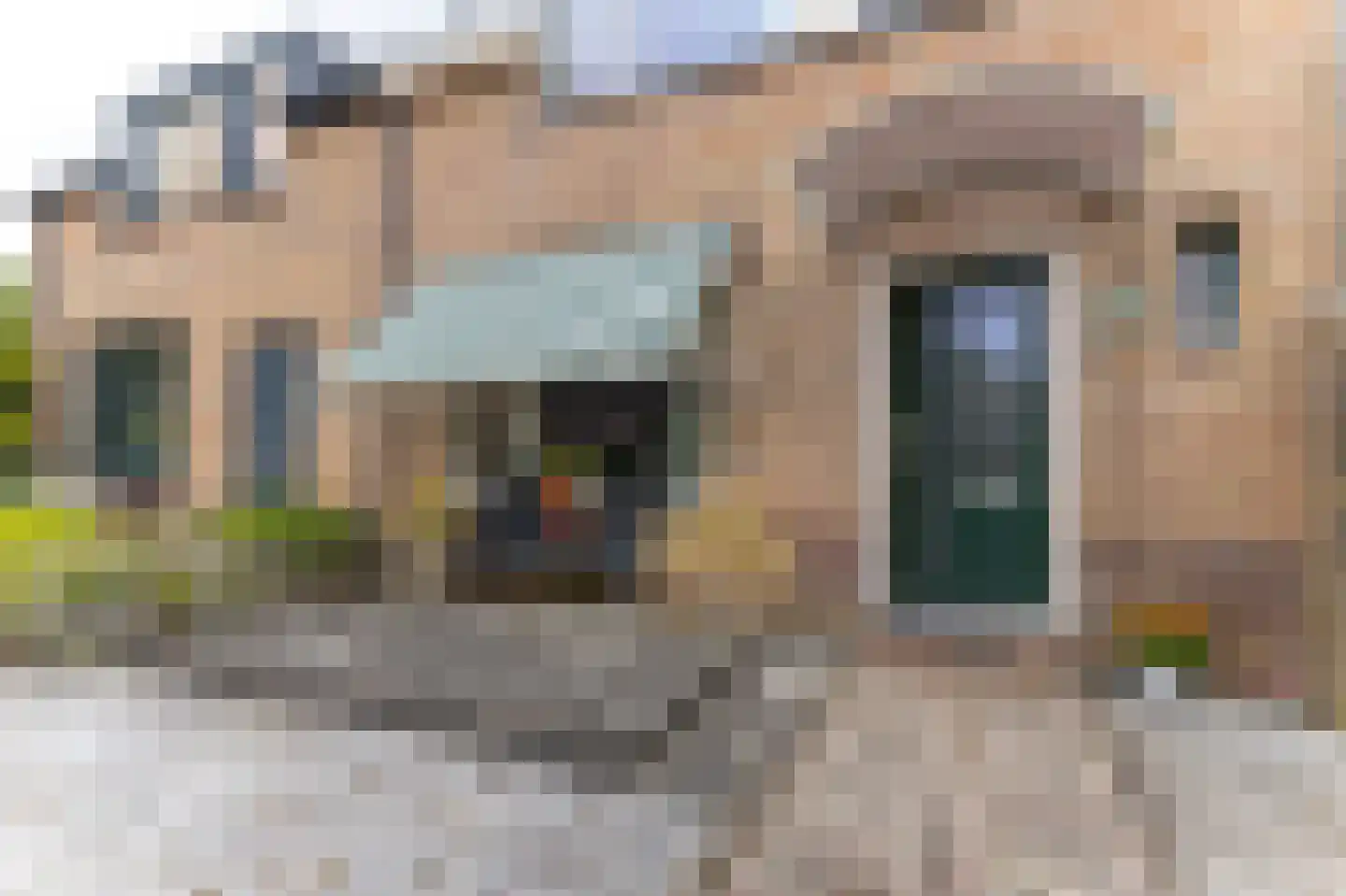 Havenweg 48 Schellinkhout thumbnail 6