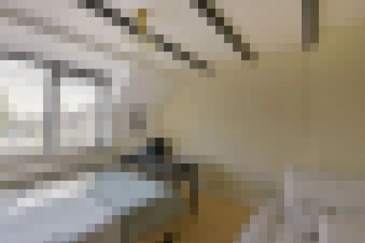 Havenweg 5 Schellinkhout thumbnail 22