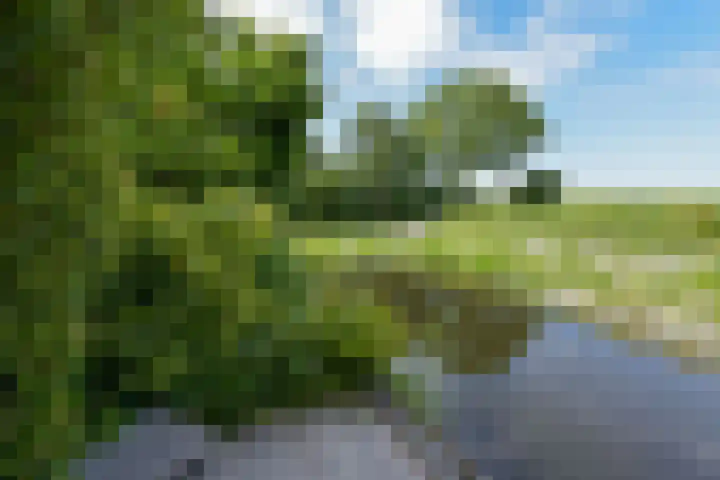 Havenweg 5 Schellinkhout thumbnail 34