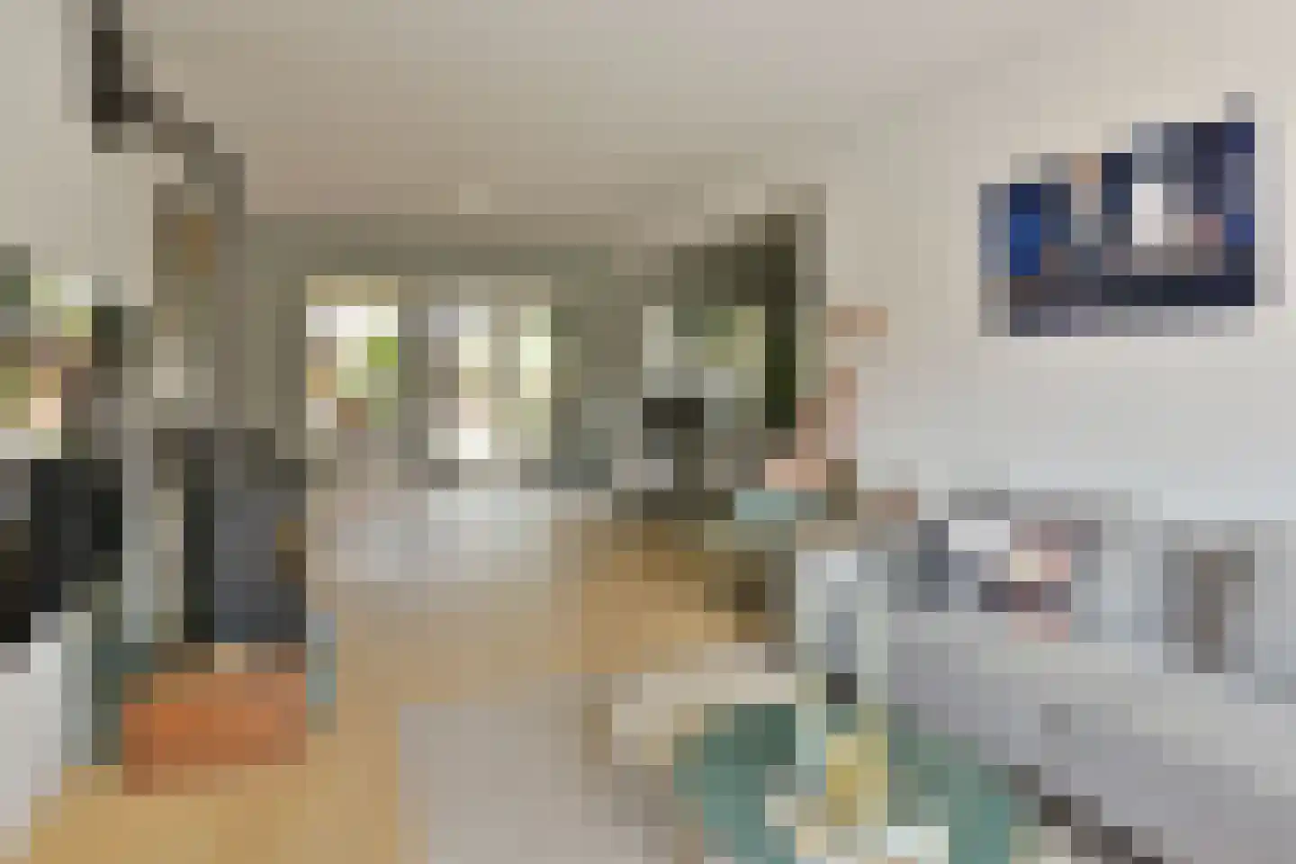 Havenweg 5 Schellinkhout thumbnail 7