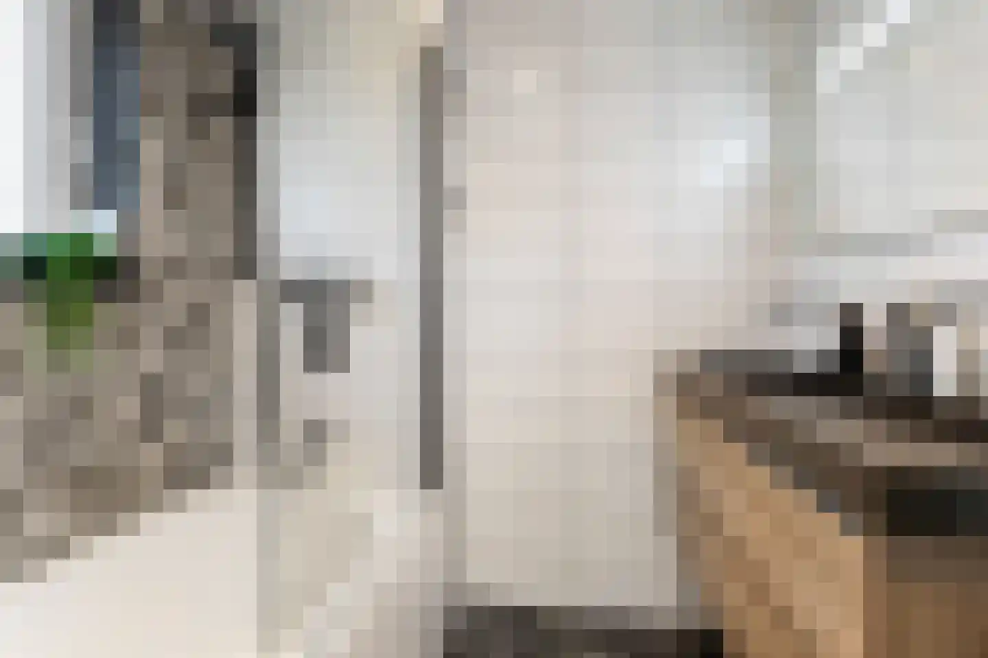 Havenweg 52 Buchten thumbnail 6