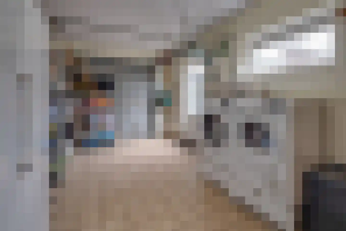 Havenweg 54 Buchten thumbnail 27