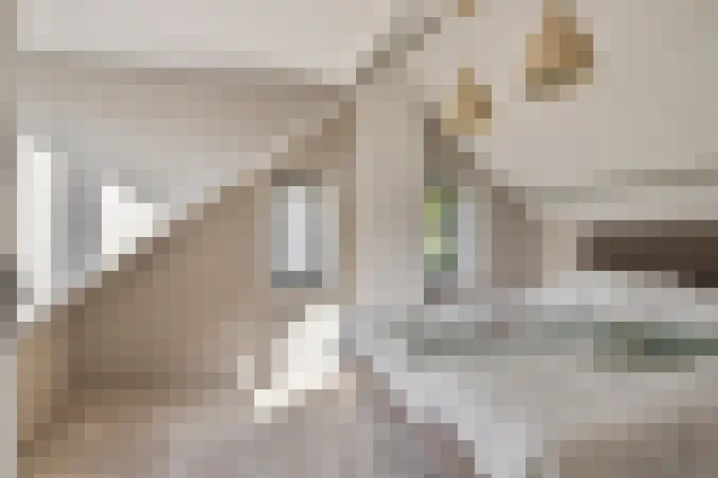 Havenweg 54 Nieuwdorp thumbnail 25