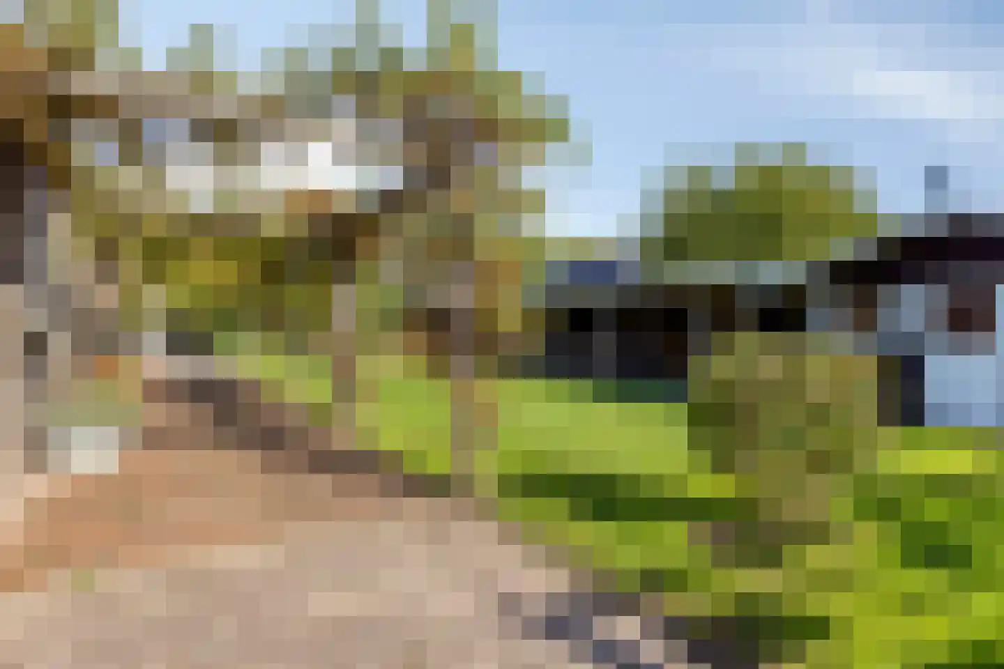 Havenweg 54 Nieuwdorp thumbnail 45