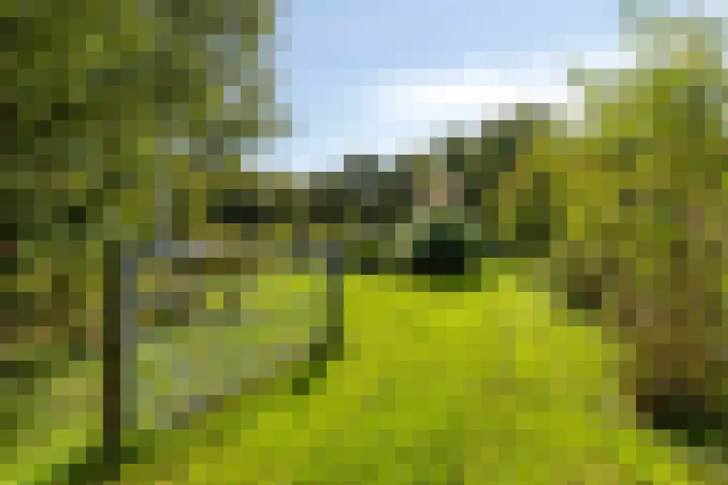 Havenweg 54 Nieuwdorp thumbnail 56