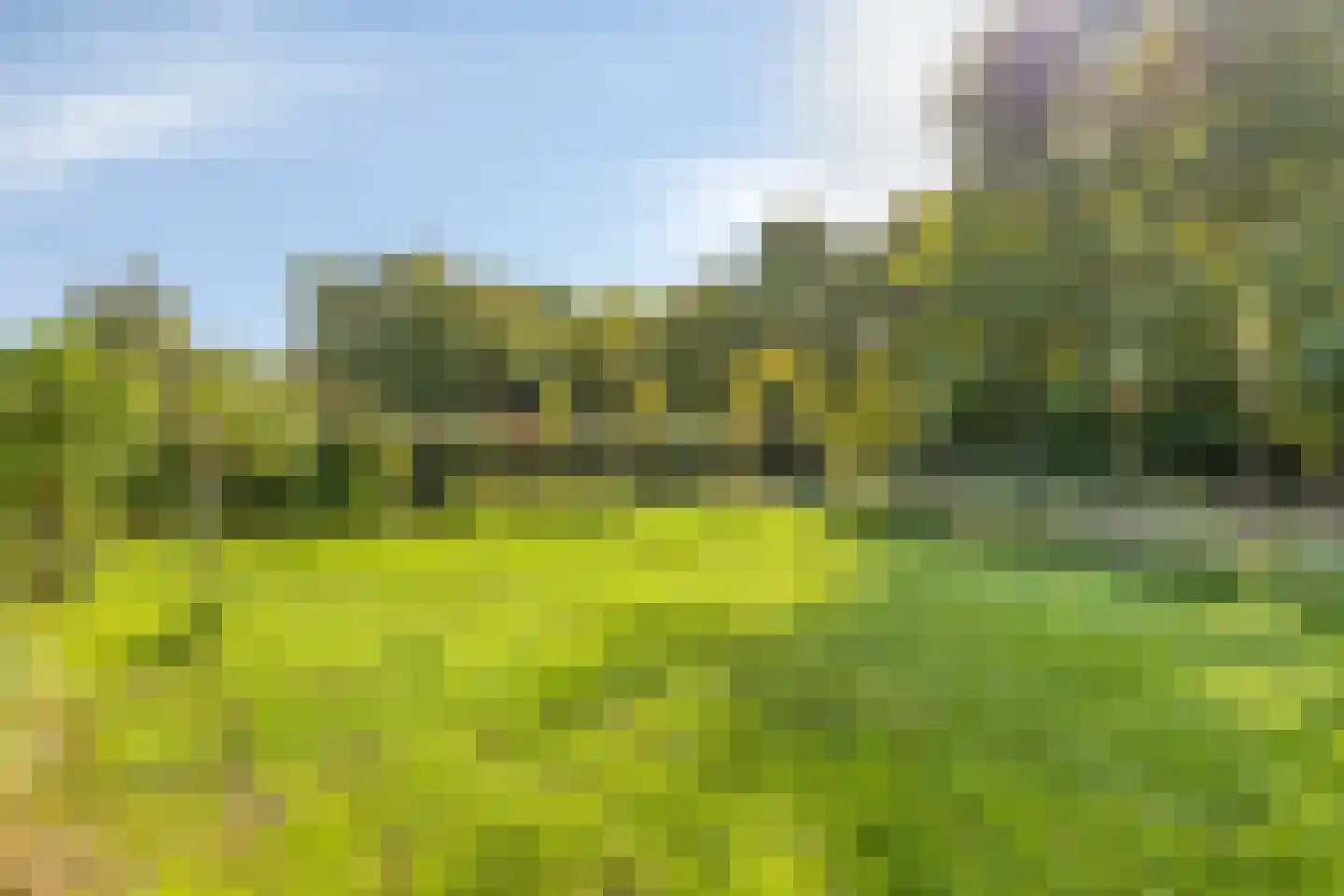 Havenweg 54 Nieuwdorp thumbnail 58