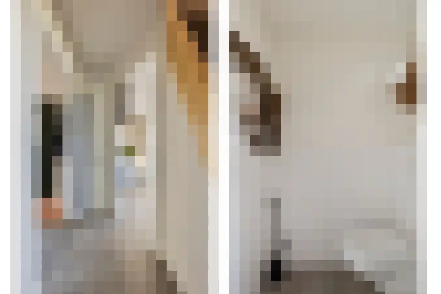 Havenweg 54 Nieuwdorp thumbnail 6