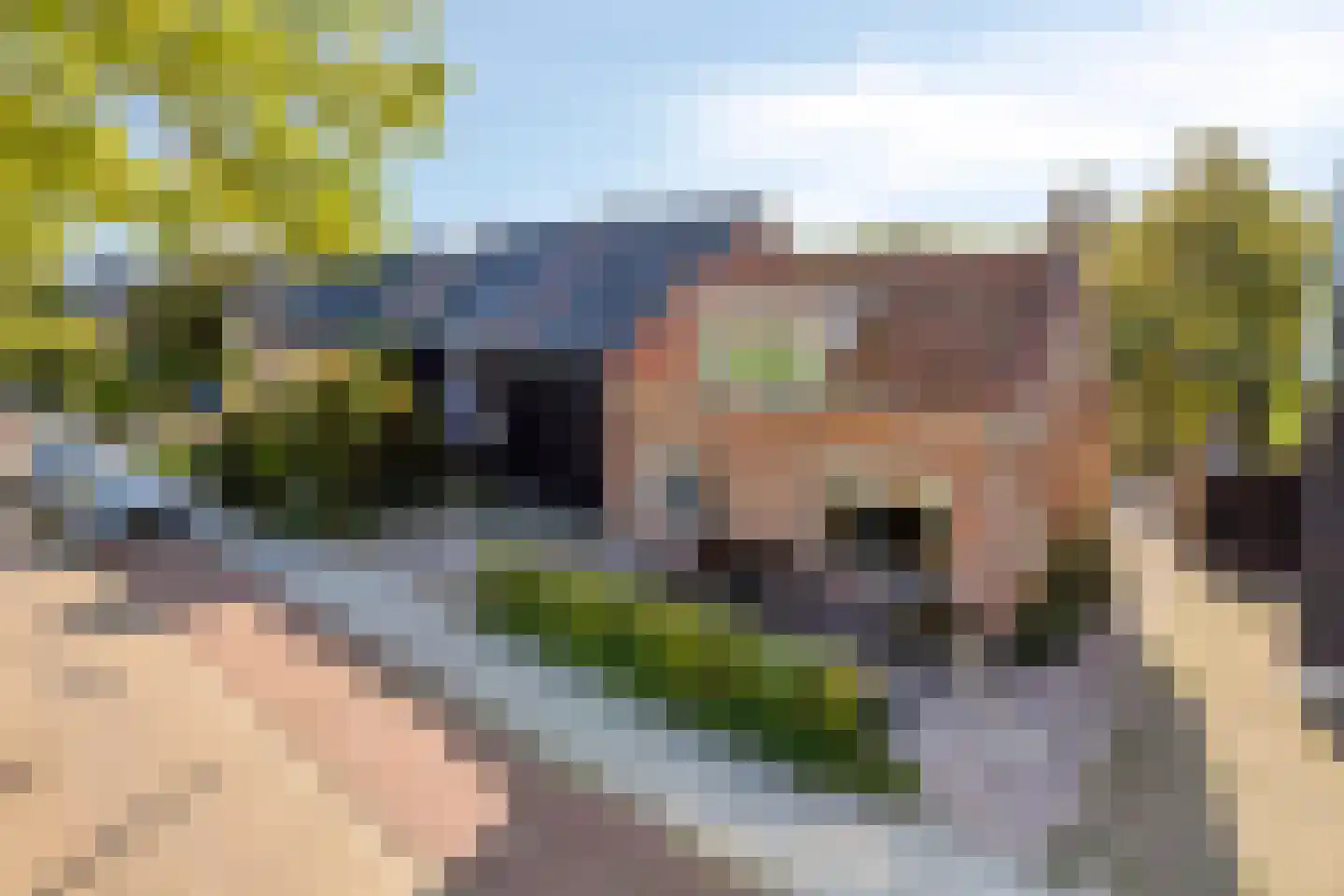 Havenweg 54 Nieuwdorp thumbnail 63