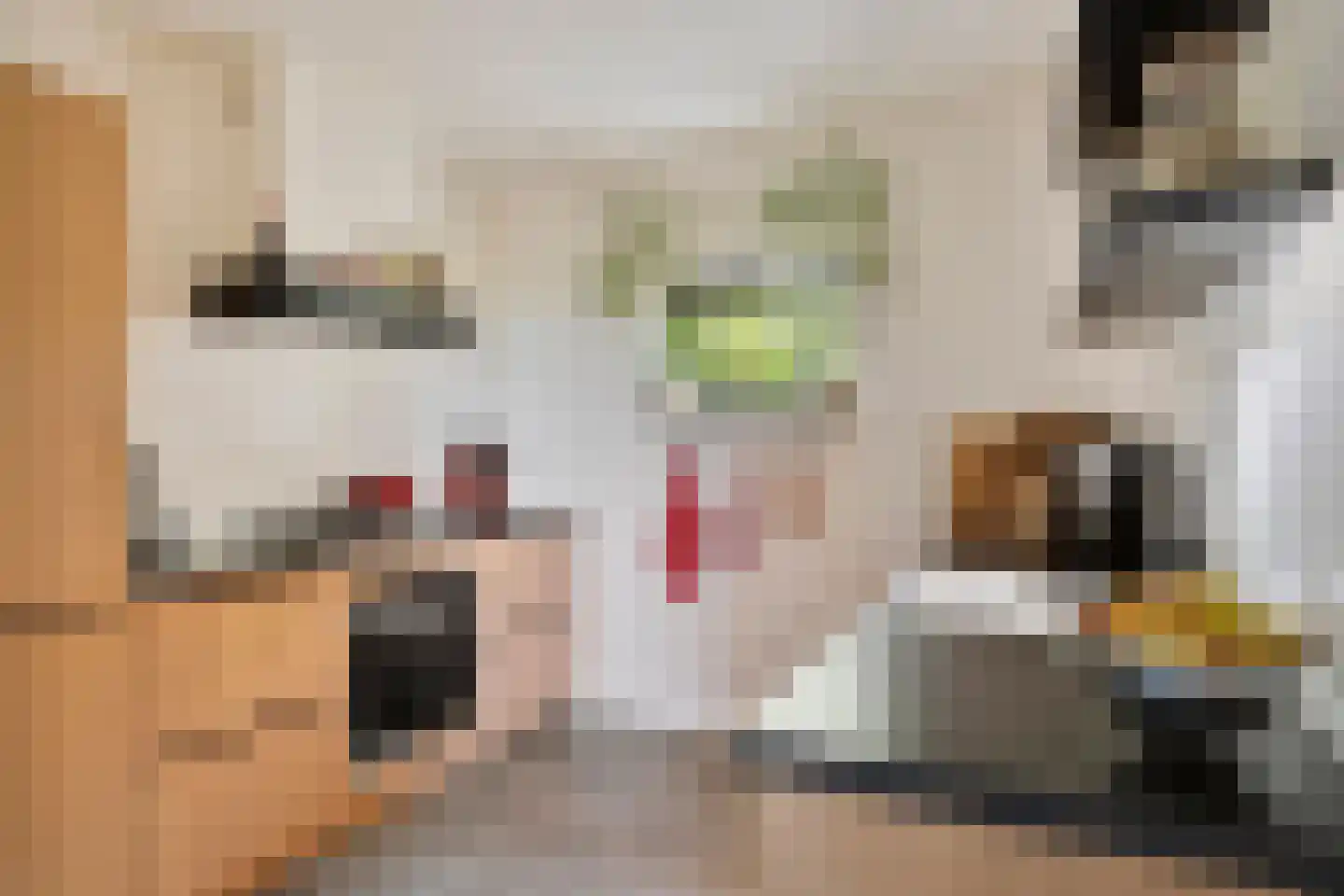 Havenweg 54 Nieuwdorp thumbnail 8