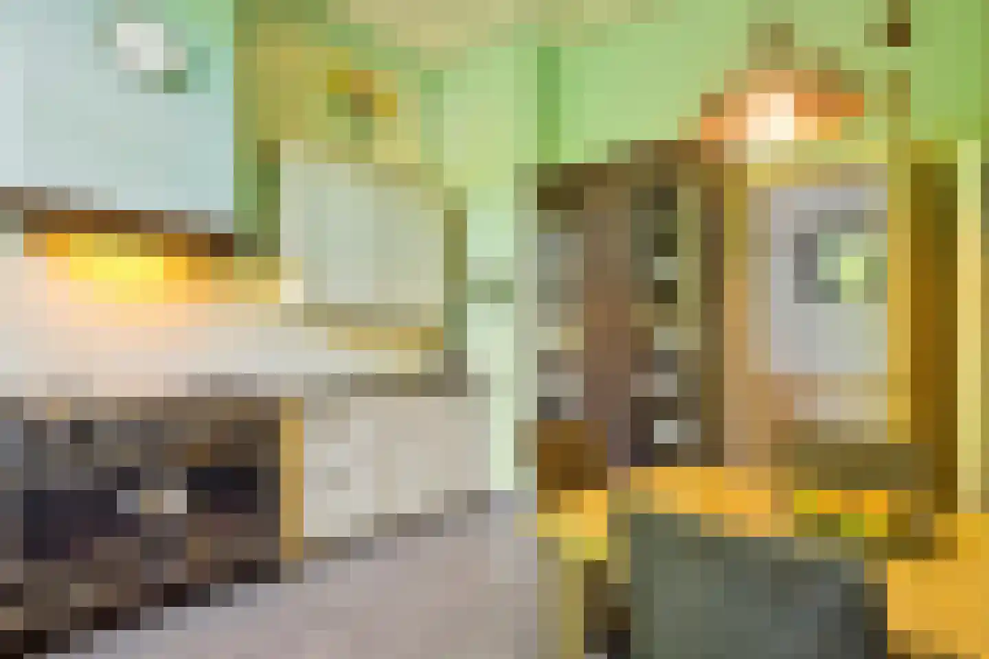 Havenweg 59 Dinteloord thumbnail 21