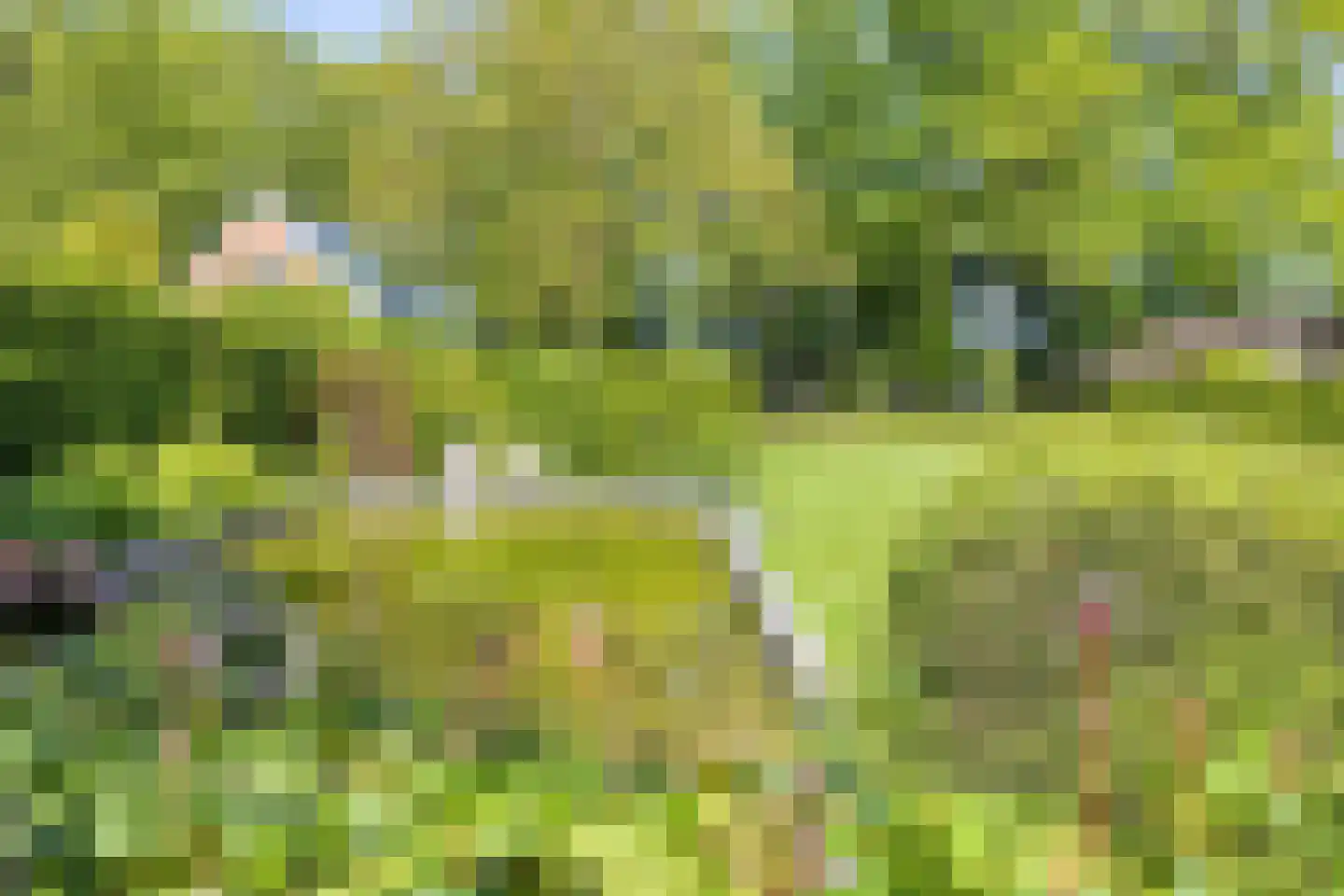 Havenweg 59 Dinteloord thumbnail 51