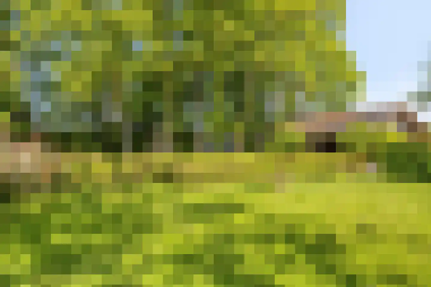 Havenweg 59 Dinteloord thumbnail 53