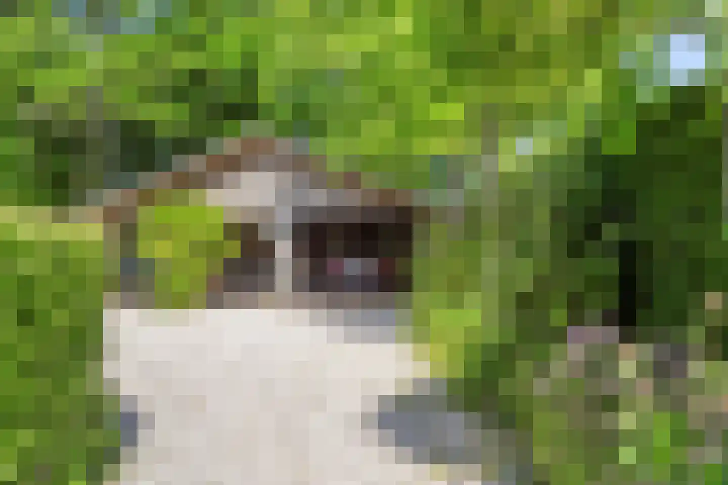 Havenweg 59 Dinteloord thumbnail 55