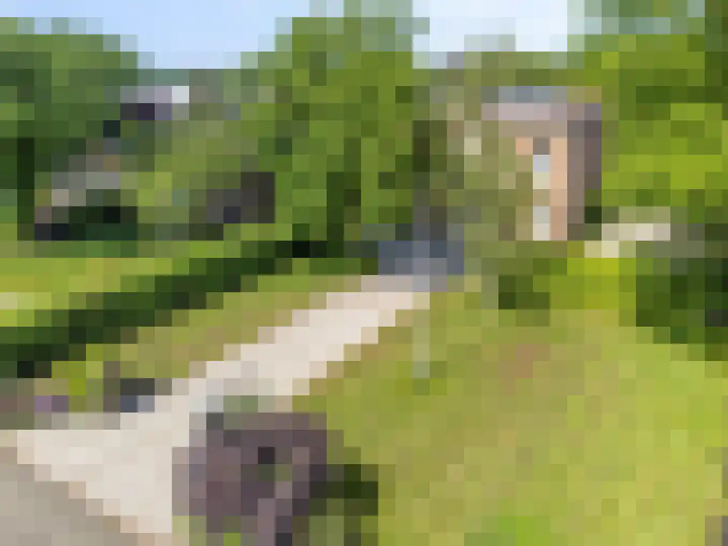 Havenweg 59 Dinteloord thumbnail 61