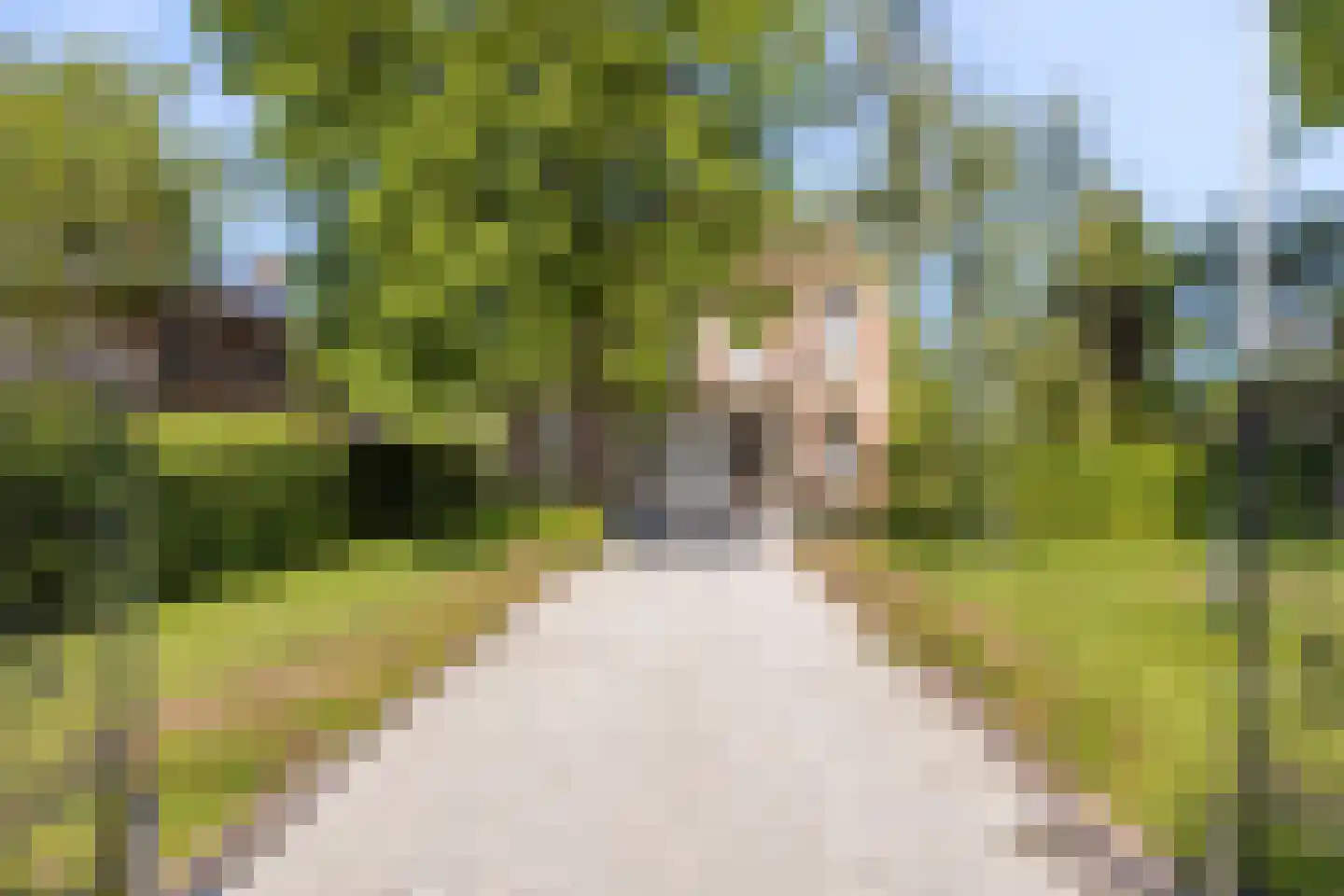 Havenweg 59 Dinteloord thumbnail 62