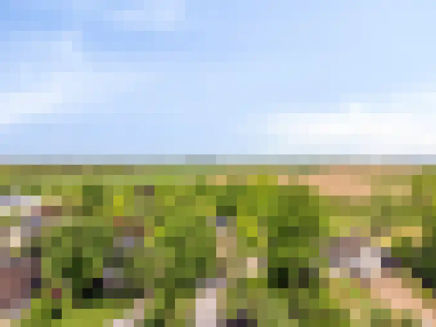 Havenweg 59 Dinteloord thumbnail 64