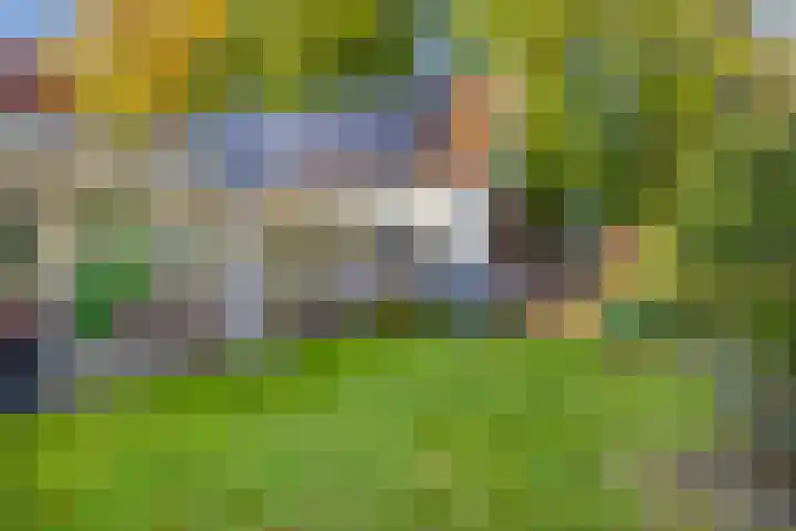Havenweg 6 Aarle-Rixtel thumbnail 39