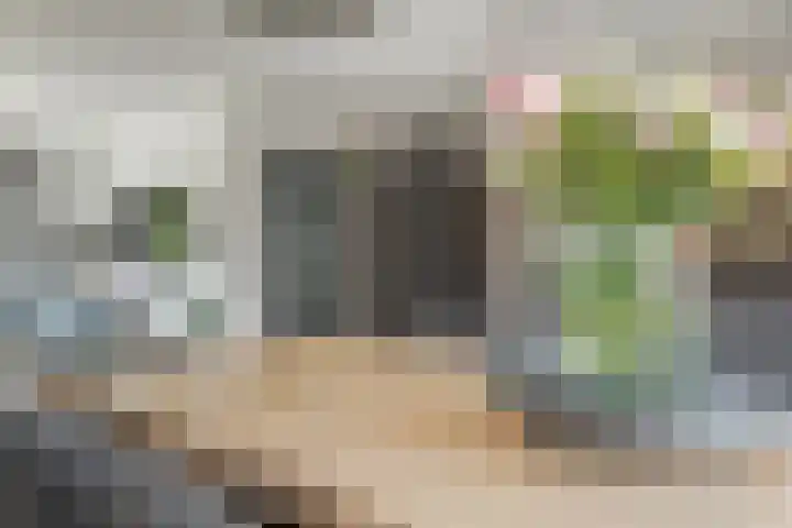 Havenweg 6 Schellinkhout thumbnail 12