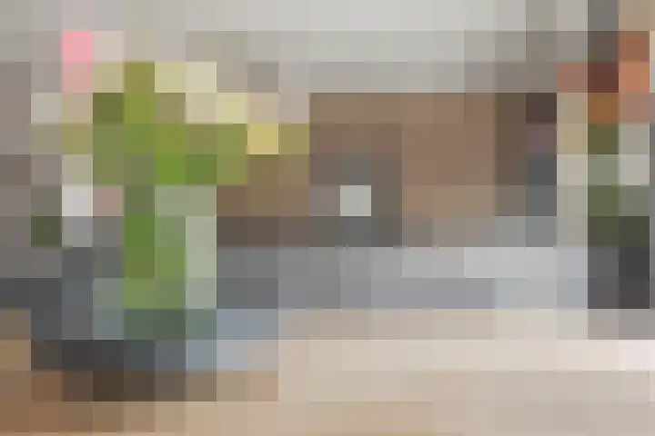 Havenweg 6 Schellinkhout thumbnail 13