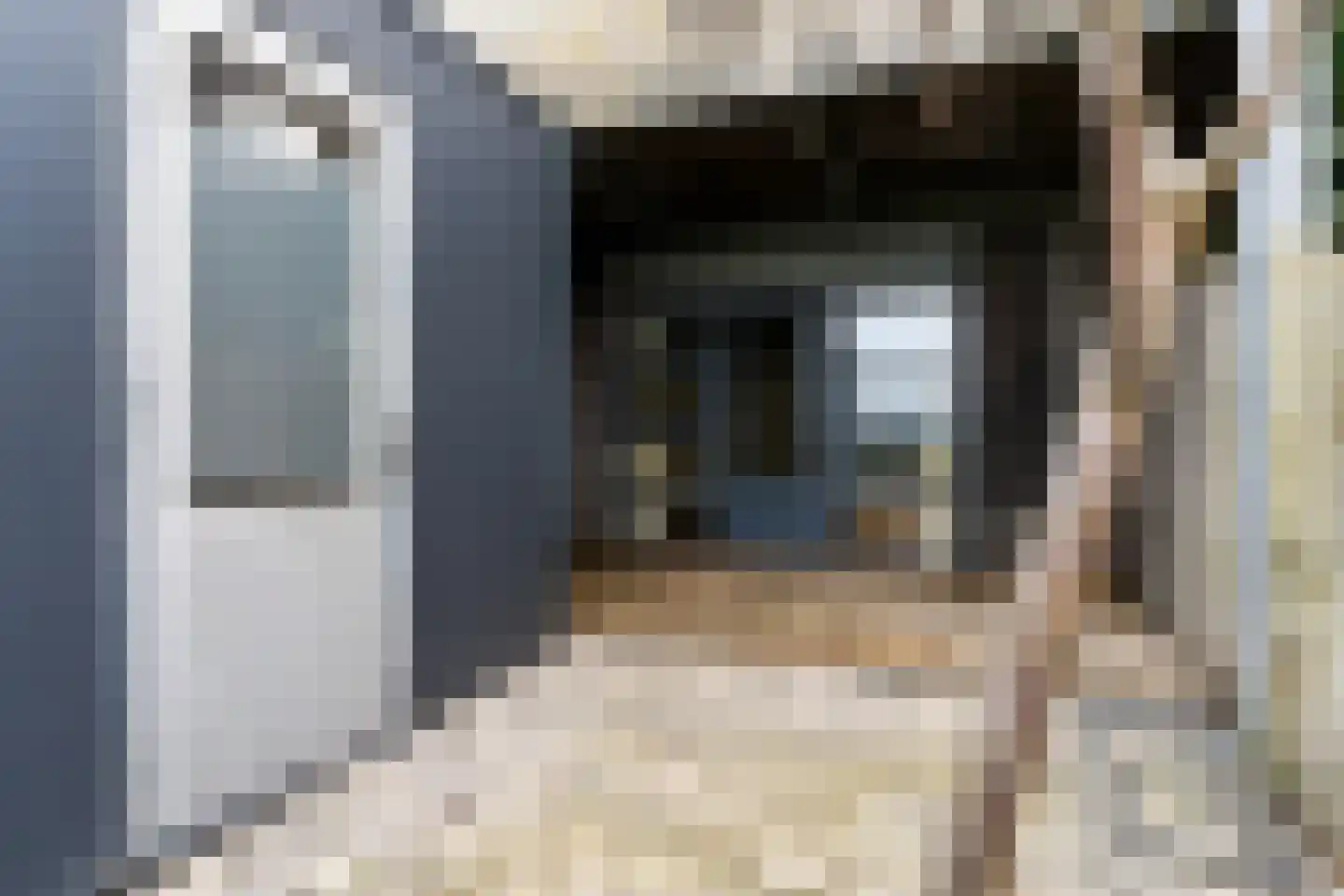 Havenweg 6 Stavoren thumbnail 12