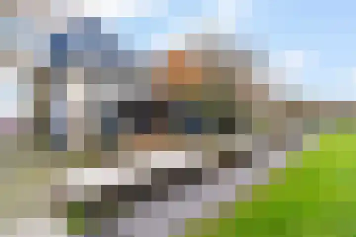 Havenweg 6 Stavoren thumbnail 35