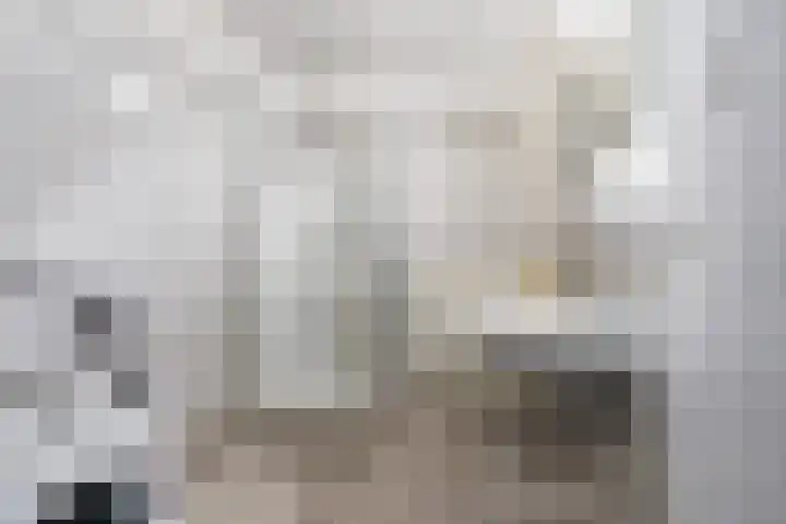 Havenweg 6 Stavoren thumbnail 6