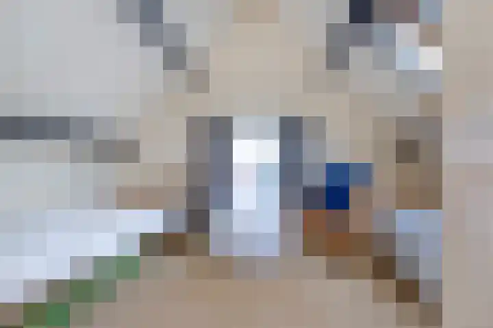 Havenweg 7 Ouddorp thumbnail 32