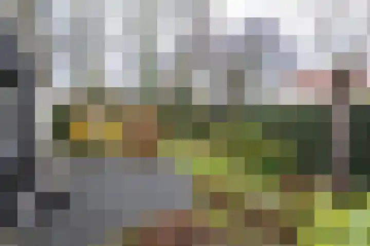 Havenweg 7 Ouddorp thumbnail 37