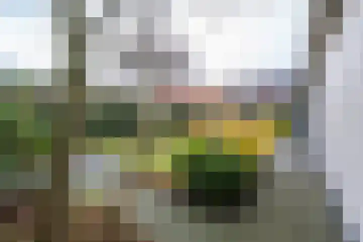 Havenweg 7 Ouddorp thumbnail 38