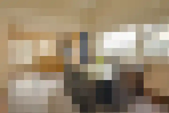 Havenweg 88 Buchten thumbnail 12