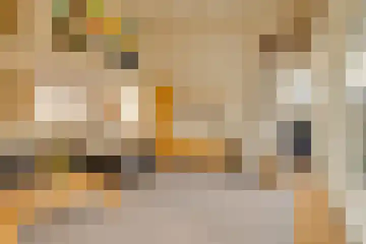 Havenweg 88 Buchten thumbnail 14