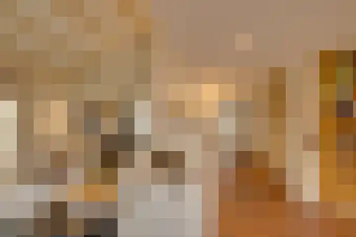 Havenweg 88 Buchten thumbnail 15