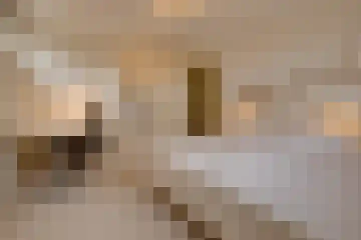 Havenweg 88 Buchten thumbnail 16