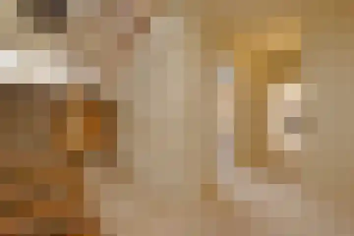 Havenweg 88 Buchten thumbnail 20