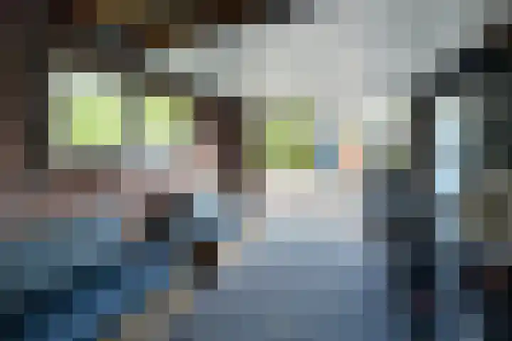 Havenweg 88 Buchten thumbnail 21
